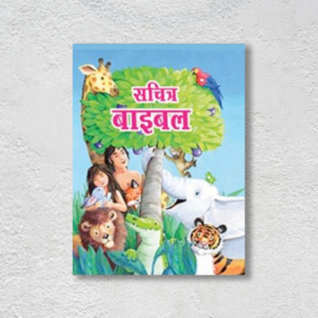 The-Picture-Bible-Hardcover(Hindi)