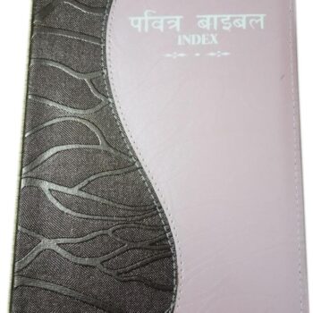 Hindi Double Colour Bible with Index