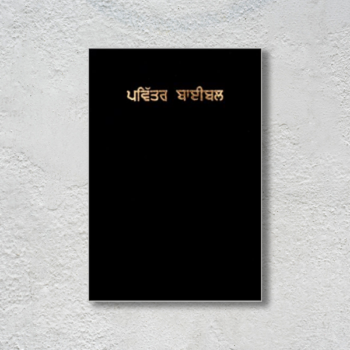 The Holy Bible Punjabi ( With Zip)