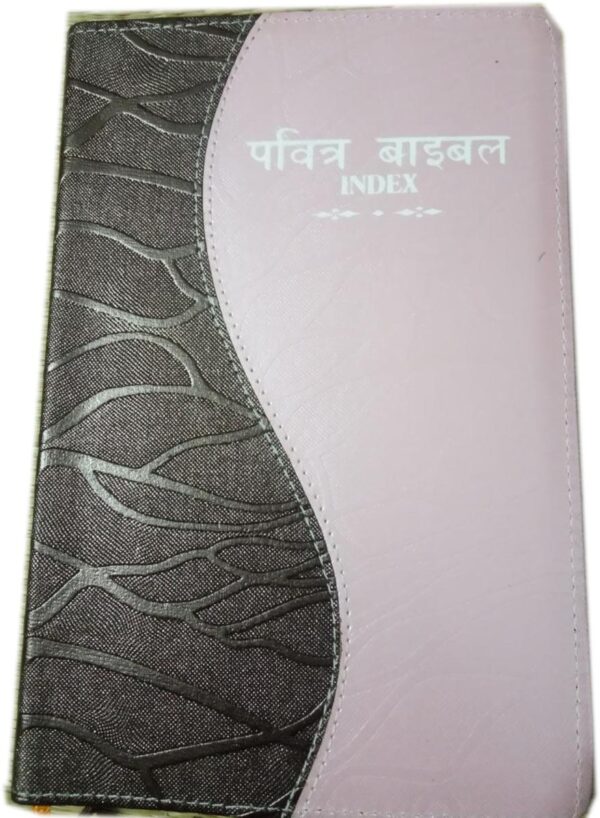 Hindi Double Colour Bible with Index