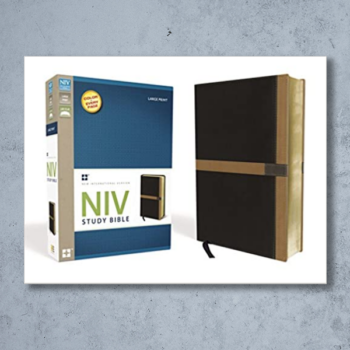 NIV Study Bible, Large Print, Leathersoft, Black Tan, Red Letter Edition Imitation Leather